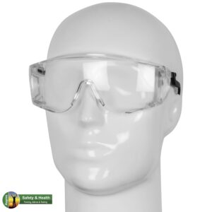 Bolle Squale ll SQUPSI Overspec Safety Glasses